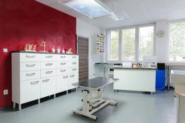 Fotografia miesta 2 od Veterinárna ambulancia - MVDr. Tomáš Scheer - Veterina Turiec