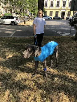 Fotografia miesta 3 od VetLINE Veterinárna Nemocnica 24H - MVDr. Peter Vittek