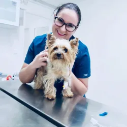 Fotografia miesta 9 od VetLINE Veterinárna Nemocnica 24H - MVDr. Peter Vittek