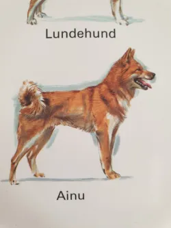 Fotografia miesta 2 od Veterinárna ambulancia - MVDr. Branislav Oťapka