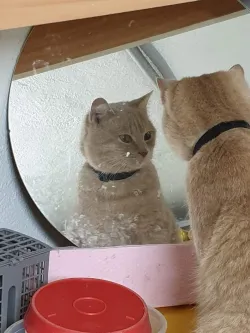 Fotografia miesta 3 od Veterinárna ambulancia - MVDr. Branislav Oťapka