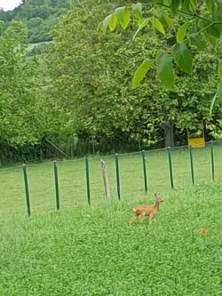 Fotografia miesta 10 od Veterinárna ambulancia - MVDr. Branislav Oťapka