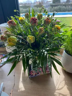 Fotografia miesta 10 od Starzyk , s.r.o.