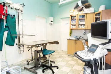 Fotografia miesta 2 od MVDr. Angela Mituníková Veterinárna klinika PB - VET