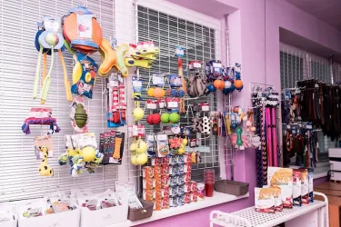 Fotografia miesta 3 od MVDr. Angela Mituníková Veterinárna klinika PB - VET