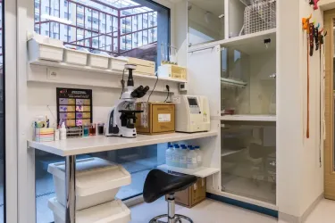 Fotografia miesta 4 od AHAvet - MVDr. Jozef Talajka