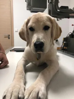 Fotografia miesta 5 od AHAvet - MVDr. Jozef Talajka