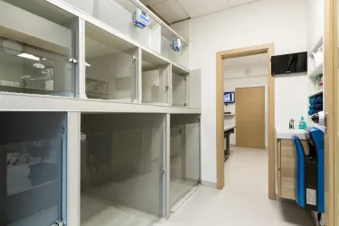 Fotografia miesta 10 od AHAvet - MVDr. Jozef Talajka