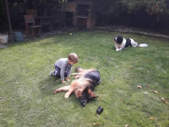 Fotografia miesta 6 od Veterinárna ambulancia - MVDr. Dana Staníková