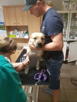 Fotografia miesta 7 od Veterinárna ambulancia - MVDr. Dana Staníková