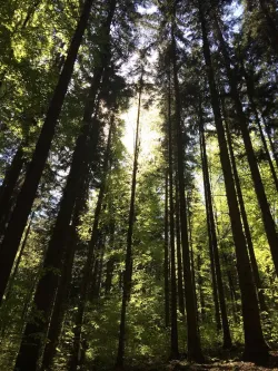 Fotografia miesta 1 od Ambulancia klinickej psychológie -  BLUMENTAL s.r.o. - Mgr. Diana Bultmanová