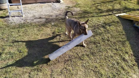 Fotografia miesta 1 od MVDr. Ostatník Juraj