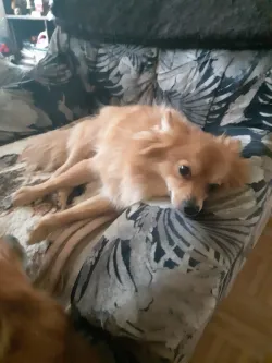 Fotografia miesta 3 od MVDr. Ostatník Juraj