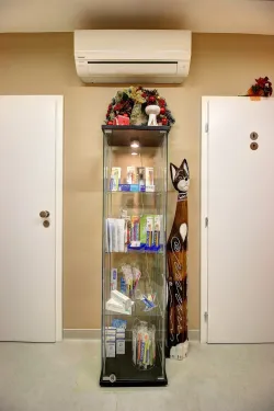 Fotografia miesta 7 od Ambulancia zubného lekárstva - VITAL DENT, s.r.o. - MUDr. Jana Veverková