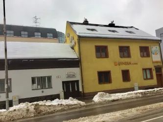 Fotografia miesta 3 od Gyneka, s.r.o. - Privátna gynekologicko pôrodnícka ambulancia - MUDr. Tibor Jankovský