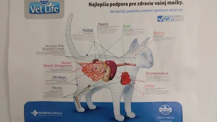 Fotografia miesta 1 od Veterinárna ošetrovňa - MVDr. Radoslav Hanák