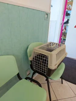 Fotografia miesta 4 od MVDr. Pavol Duroň - veterinárna ambulancia