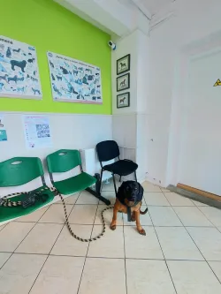 Fotografia miesta 6 od MVDr. Pavol Duroň - veterinárna ambulancia