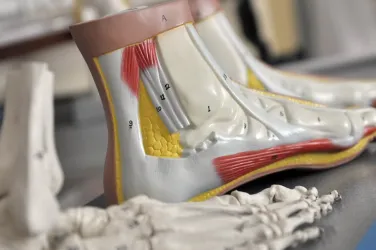 Fotografia miesta 7 od Výdajňa zdravotníckych ortopedicko - protetických pomôcok Medicpro