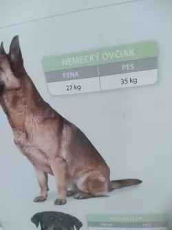 Fotografia miesta 2 od Veterinárna ambulancia - MVDr. Tomáš Satmar