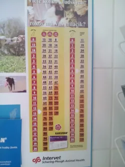 Fotografia miesta 3 od Veterinárna ambulancia - MVDr. Tomáš Satmar