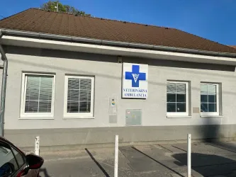 Fotografia miesta 5 od Veterinárna ambulancia Gbely - MVDr. Gabriela Hazlingerová