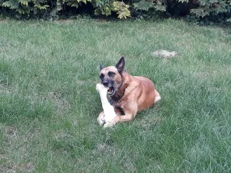 Fotografia miesta 5 od MVDr. Zuzana Stražanová Veterinárna ambulancia