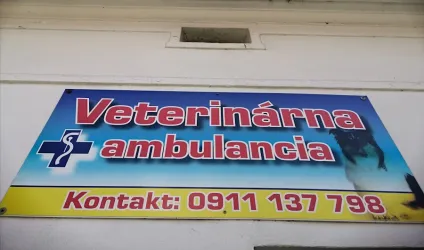 Fotografia miesta 7 od Veterinárna ambulancia MVDr. Jana Tunegová
