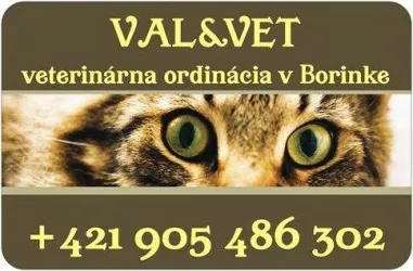 Fotografia miesta 5 od VALVET veterinárna ordinácia MVDr. Valábková