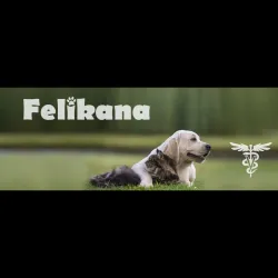 Fotografia miesta 3 od FELIKANA Veterinárna ambulancia - MVDr. Barbora Trebatická
