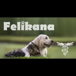 Fotografia miesta 4 od FELIKANA Veterinárna ambulancia - MVDr. Barbora Trebatická