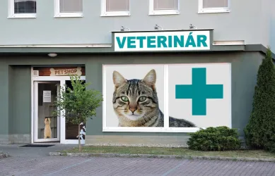 Fotografia miesta 1 od ABC - Vet, veterinárna starostlivosť - MVDr. Marek Kičinko