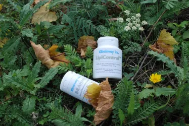 Fotografia miesta 5 od ZENOVA Labs., s.r.o.