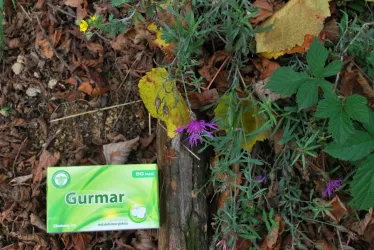 Fotografia miesta 6 od ZENOVA Labs., s.r.o.