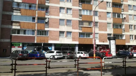 Fotografia miesta 1 od Veterinárna klinika Bullypet - MVDr. Matúš Pagáč