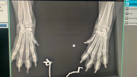 Fotografia miesta 8 od Veterinárna klinika Bullypet - MVDr. Matúš Pagáč