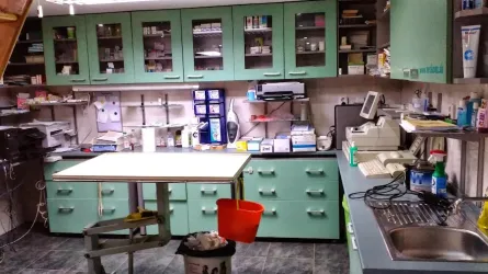 Fotografia miesta 1 od Veterinárna ambulancia - MVDr. Štefan Ďurkech