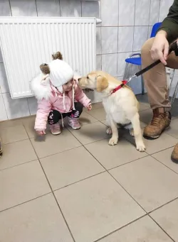 Fotografia miesta 1 od Veterinárna ambulancia Ruskov - MVDr. Peter Smrčo