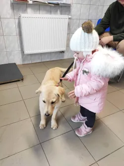 Fotografia miesta 7 od Veterinárna ambulancia Ruskov - MVDr. Peter Smrčo