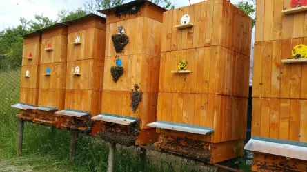 Fotografia miesta 2 od Gastroenterologická a diabetologická ambulancia, ENDOMED, s.r.o. - MUDr. Miroslav Fedurco