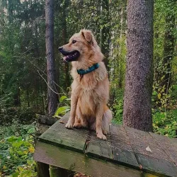 Fotografia miesta 1 od Anima veterinárna klinika - MVDr. Martin Mitra