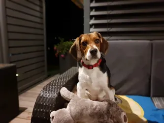 Fotografia miesta 2 od Anima veterinárna klinika - MVDr. Martin Mitra