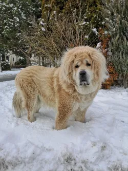 Fotografia miesta 3 od Anima veterinárna klinika - MVDr. Martin Mitra