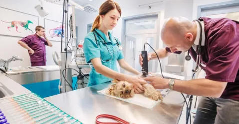 Fotografia miesta 7 od Anima veterinárna klinika - MVDr. Martin Mitra