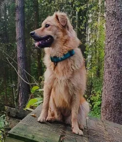 Fotografia miesta 9 od Anima veterinárna klinika - MVDr. Martin Mitra