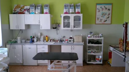 Fotografia miesta 2 od MyVet clinic - MVDr. Oliver Pestún
