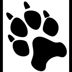 Fotografia miesta 1 od Veterinárna ambulancia dr. Brcko