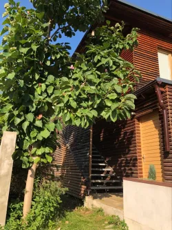 Fotografia miesta 1 od Park Pilates - Katarína Sjekelová