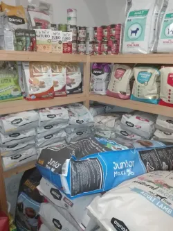 Fotografia miesta 10 od Veterinárna ambulancia - MVDr. Katarína Polačková