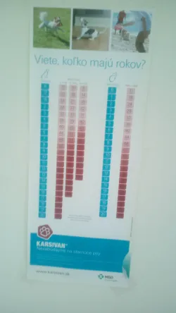 Fotografia miesta 7 od Veterinárna ambulancia - MVDr. Radovan Bozalka